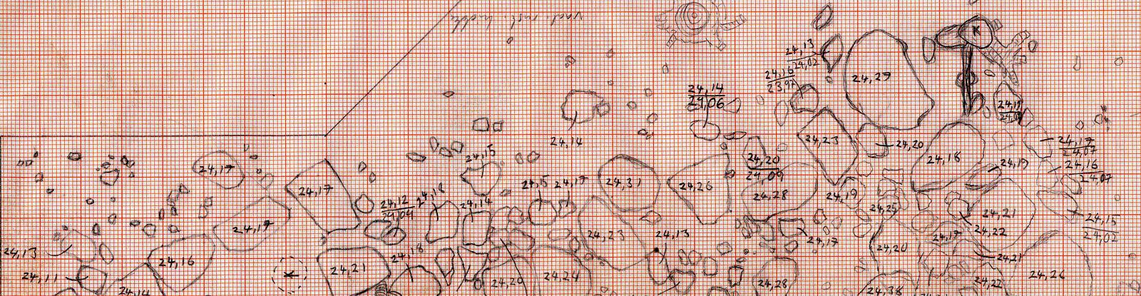 Picture: University of Turku