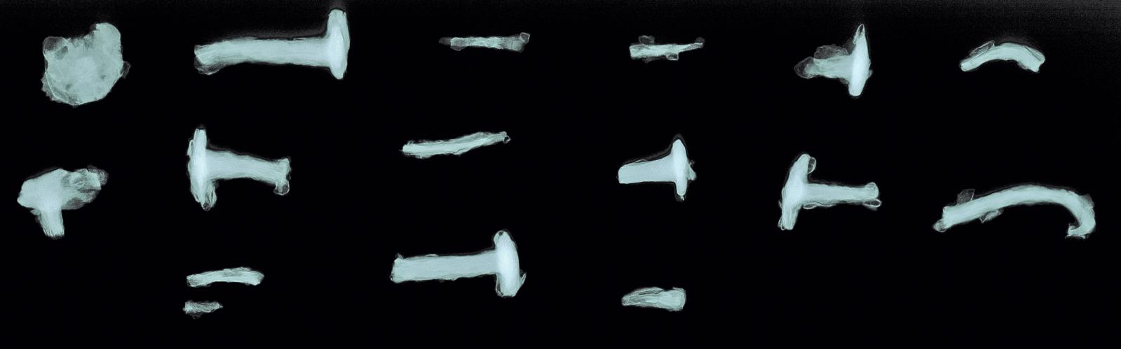 Picture: University of Turku