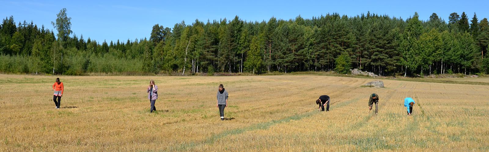 Picture: pintapoimintaa s�nkipellolla